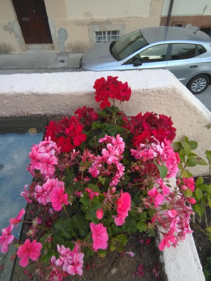 Appartamento Farol De Vida Coimbra Esterno foto